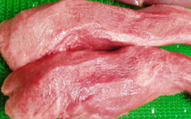 豚タン1kg (1本ずつ真空)